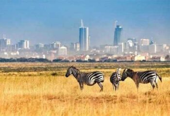 Nairobi National Park